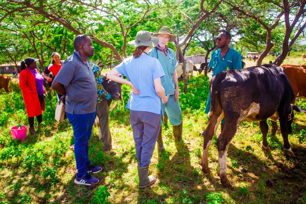 Top Photography & Videography services in Nairobi, Rwanda – Oramedia – THE BIG PICTURE
